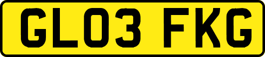 GL03FKG