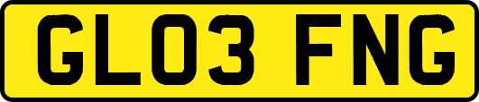 GL03FNG