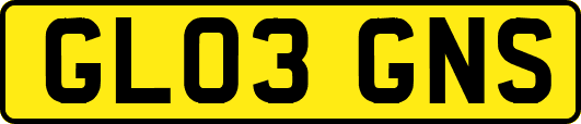 GL03GNS