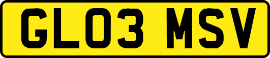 GL03MSV