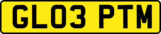 GL03PTM