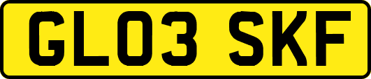 GL03SKF