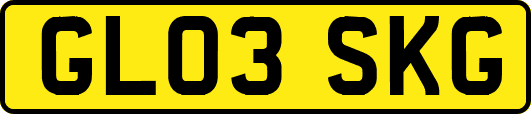 GL03SKG