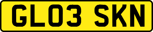 GL03SKN