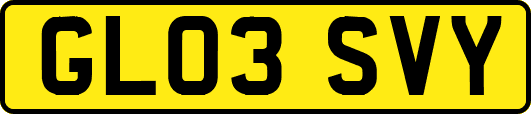 GL03SVY
