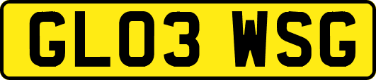 GL03WSG