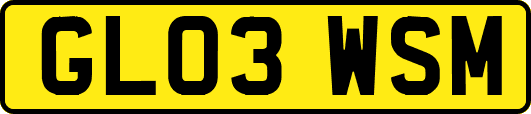 GL03WSM