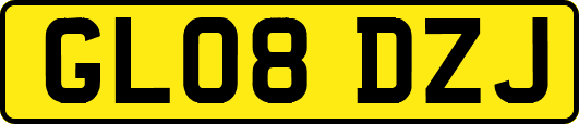 GL08DZJ