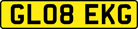 GL08EKG