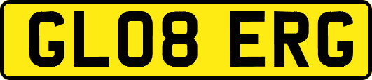 GL08ERG