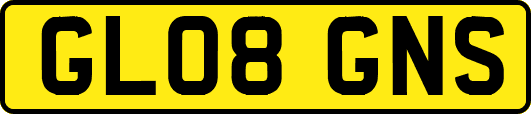 GL08GNS