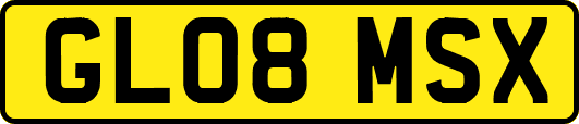 GL08MSX