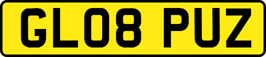 GL08PUZ