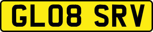 GL08SRV