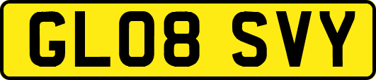 GL08SVY