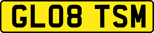 GL08TSM