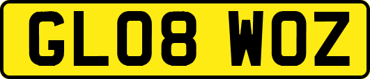GL08WOZ