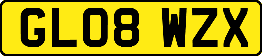 GL08WZX