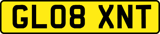 GL08XNT