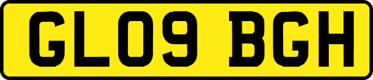 GL09BGH