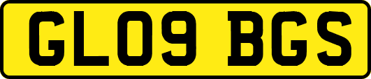 GL09BGS