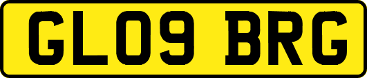 GL09BRG