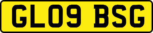 GL09BSG