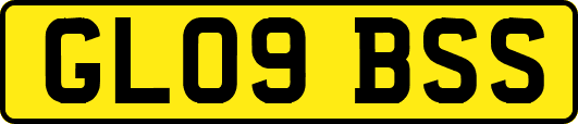 GL09BSS