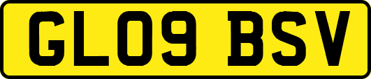 GL09BSV
