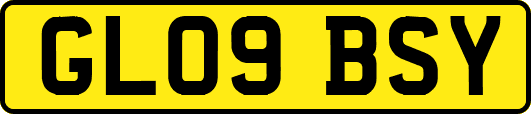 GL09BSY