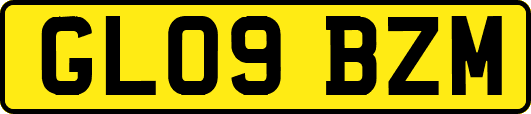 GL09BZM