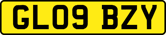 GL09BZY