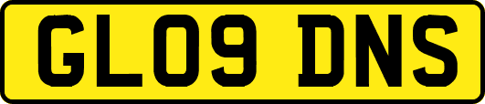 GL09DNS