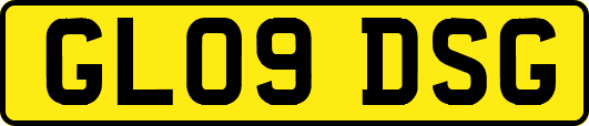 GL09DSG