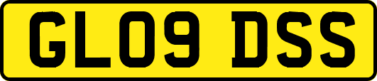 GL09DSS