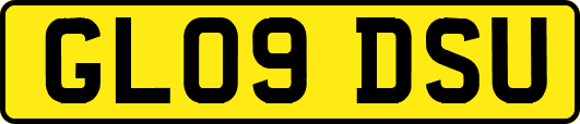 GL09DSU