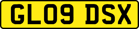 GL09DSX