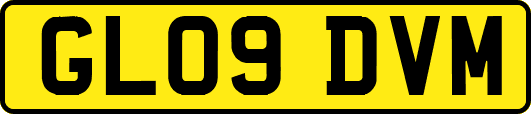 GL09DVM