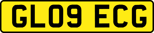 GL09ECG