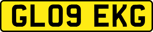 GL09EKG