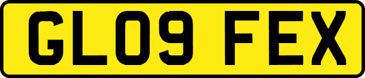 GL09FEX