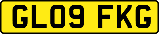 GL09FKG