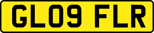 GL09FLR