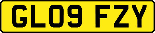 GL09FZY