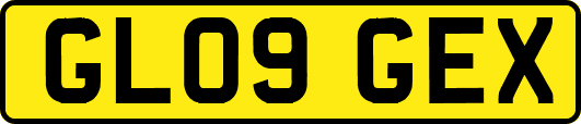 GL09GEX