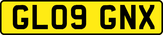 GL09GNX
