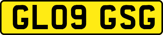 GL09GSG