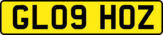 GL09HOZ
