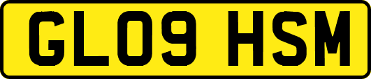GL09HSM