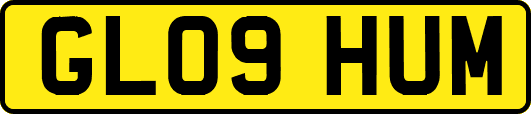 GL09HUM